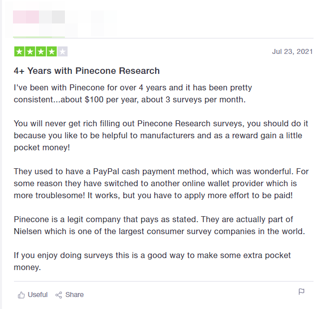 Pinecone Research feedback 1